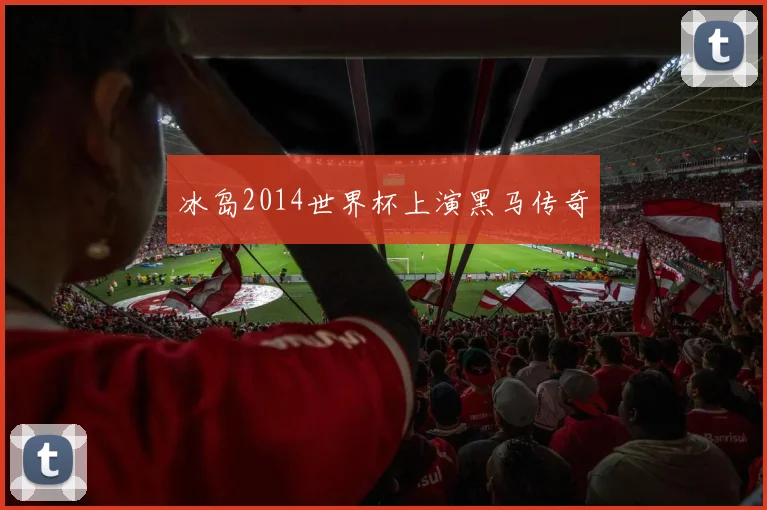 冰岛2014世界杯上演黑马传奇